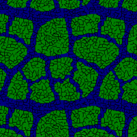 A dynamical model for leaf vasculature